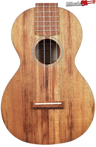 Martin c1k koa concert - c1k, ukulele