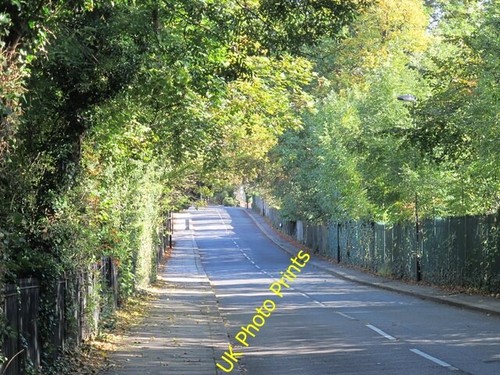 Photo 6x4 bush hill n21 - 6x4,