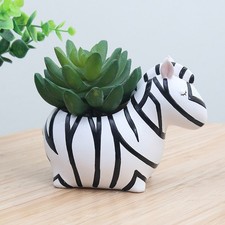  Vasetto Piante Grasse Vaso