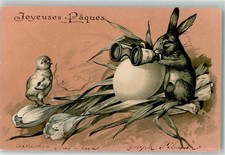 10684667 - Coniglio con