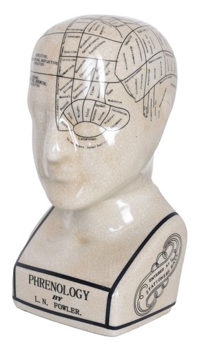 Kopfskulptur busto frenologia - kopfskulptur,