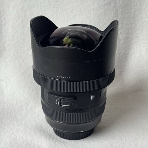 Sigma 24mm art - dg, /