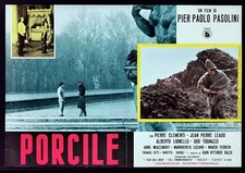 PORCILE fotobusta poster