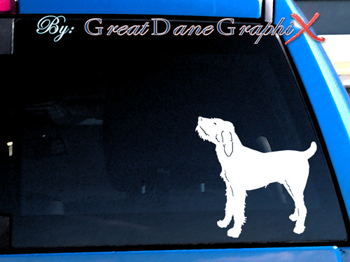 Spinone italiano adesivo - spinone,