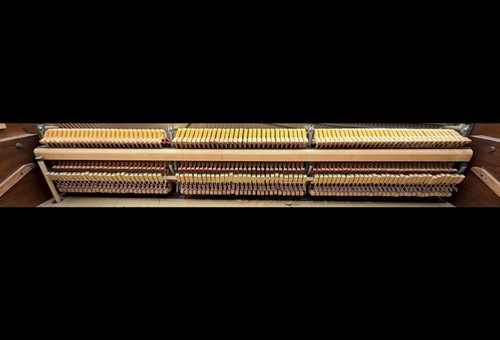 Wurlitzer 1971 gruppo azione