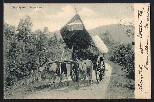 Singapore bullockart carro - singapore,, bullockart,