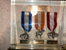 Boy Scout BSA Pennsylvania