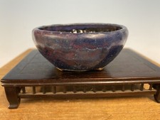 Vaso albero bonsai Shohin