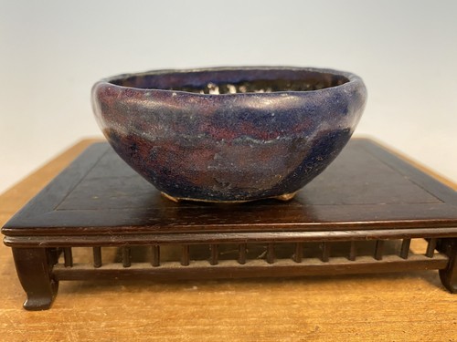 Vaso albero bonsai - , shohin