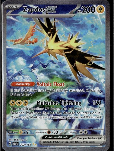 Zapdos holo special - zapdos, ex