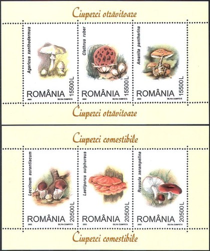 Romania 2003