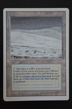 Magic The Gathering MTG TUNDRA