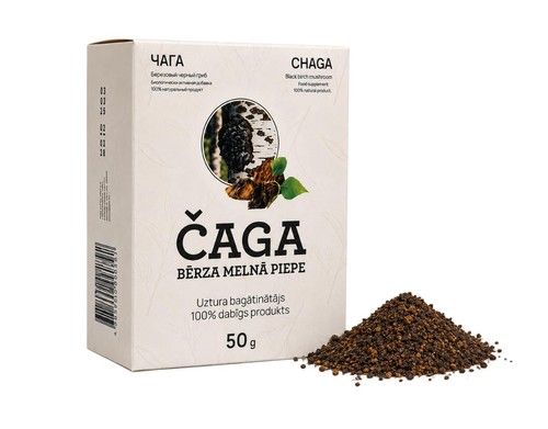 Chaga fungo grossolanamente