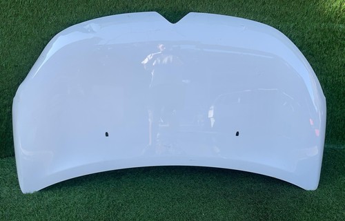 Cofano anteriore per citroen - cofano,