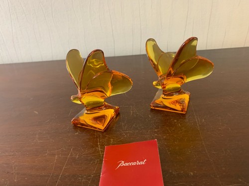 Farfalle ambra di - farfalle,