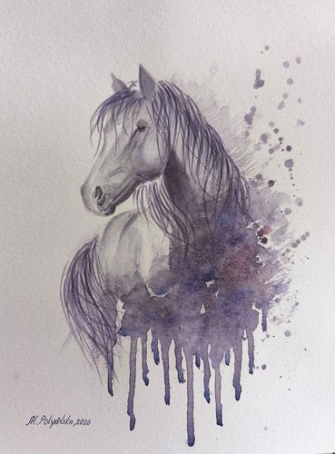 Cavallo selvatico mustang - cavallo,