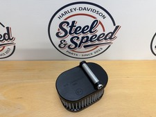 Elemento filtro depuratore