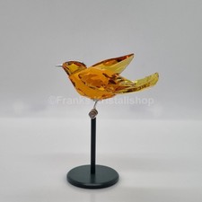 SWAROVSKI Bamoa Sun Crystal