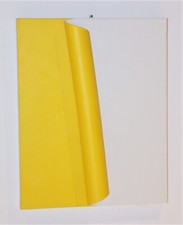 Antonio Baccarin - acrilici su tela arrotolata in fibre 50x40