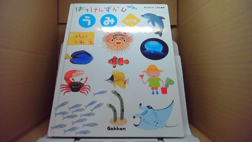 Sea discoveries ocean life - sea, discoveries: