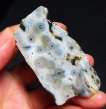 TOP 28G Natural Orbicular