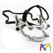 Bocca bavaglio equino dentale