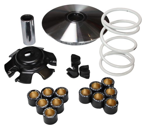 Variatore vario malossi - variatore,
