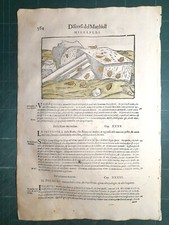 MATTIOLI MATTHIOLI Erbario a