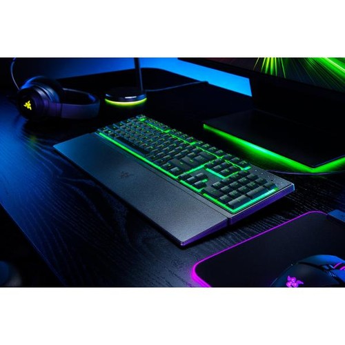 Razer ornata us - x,