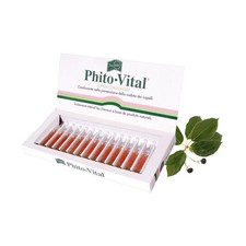 Phito Vital Euro Marbel Kit 13