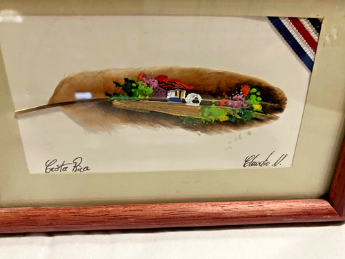 Piuma arte costa - arte, rica