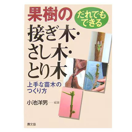 Fruit tree grafting cutting - fruit,