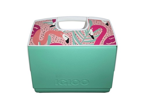 Vintage igloo fenicotteri - vintage,