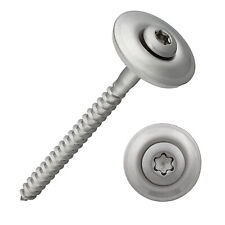 Viti per lattoniere Torx | Acciaio inox A2 | Disco di tenuta 20 mm | 4,5 x 20 - 100 mm