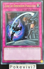 Carte YU-GI-OH! ZONE DE