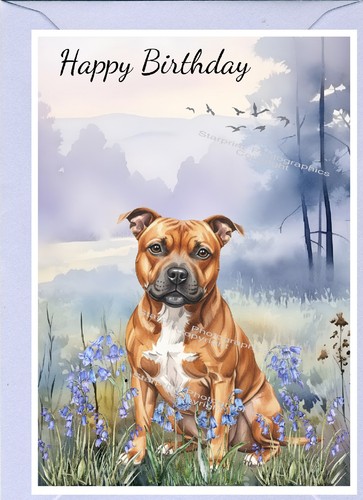 Biglietto compleanno - biglietto,
