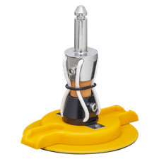 Point 7 piede d'albero