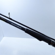 Daiwa 19Moazan Branzino