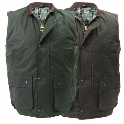 Gilet uomo trapuntato cera - gilet,