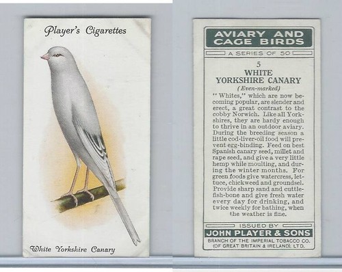 P72 player aviary - &, cage