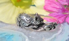 RX Anello Gatto Gattino Gioca