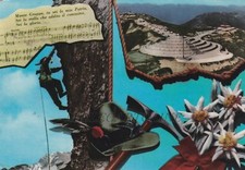 MILITARI: Alpini - Monte Grappa sei la mia Patria  1968