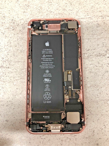 Custodia posteriore apple - custodia,