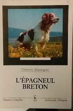 L'epagneul breton, piccolo
