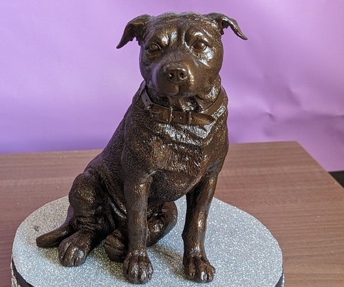Staffordshire bull terrier dog - bull,