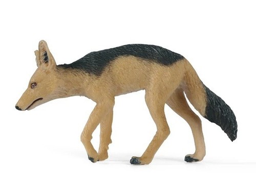 Jackal dhole animale - dhole,