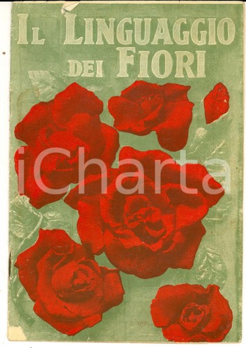 1905 linguaggio dei fiori - il,