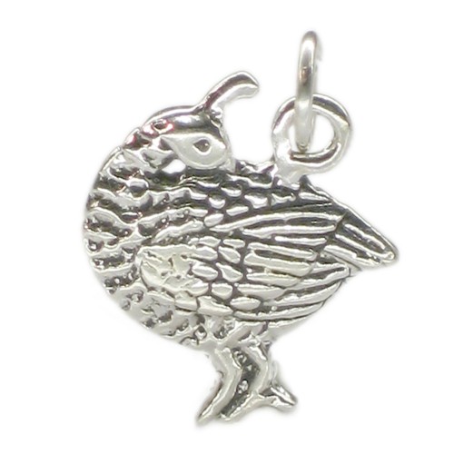 Ciondolo argento sterling - in,