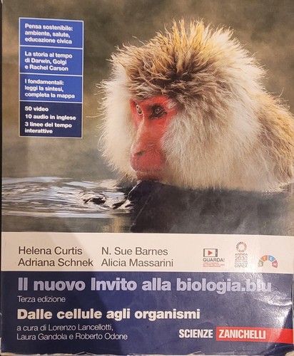Nuovo invito alla - il,