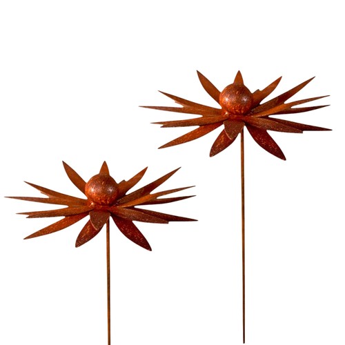 Set spine giardino - set,